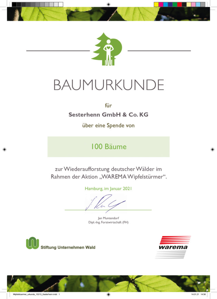 Wir sind Wipfelstürmer Urkunde Sesterhenn GmbH & Co. KG